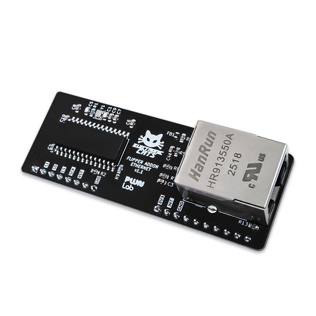 Flipper Add-On: Ethernet 5